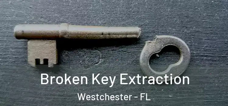 Broken Key Extraction Westchester - FL