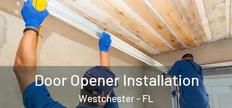 Door Opener Installation Westchester - FL