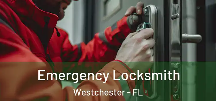 Emergency Locksmith Westchester - FL
