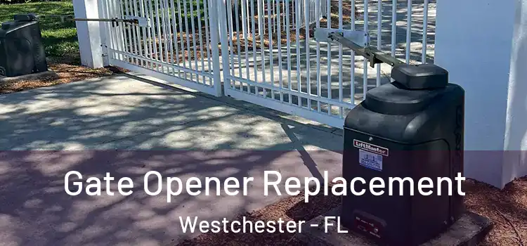 Gate Opener Replacement Westchester - FL