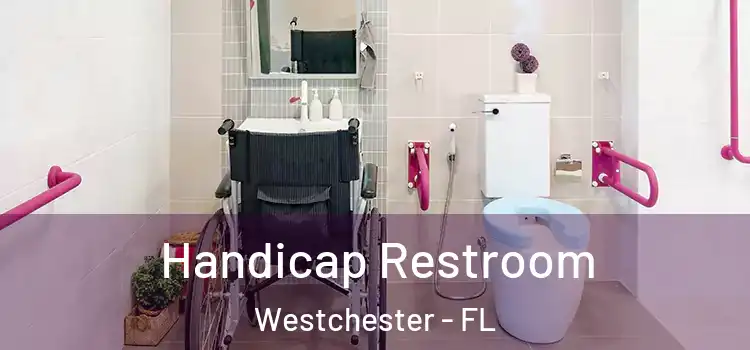 Handicap Restroom Westchester - FL