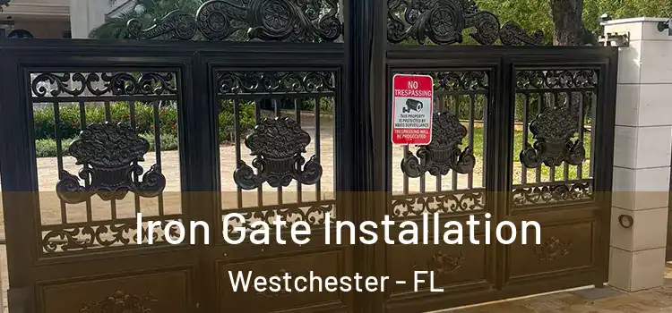  Iron Gate Installation Westchester - FL
