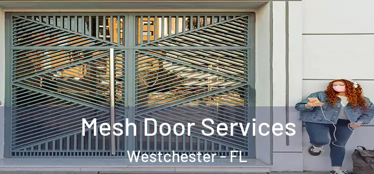Mesh Door Services Westchester - FL
