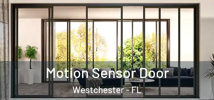 Motion Sensor Door Westchester - FL