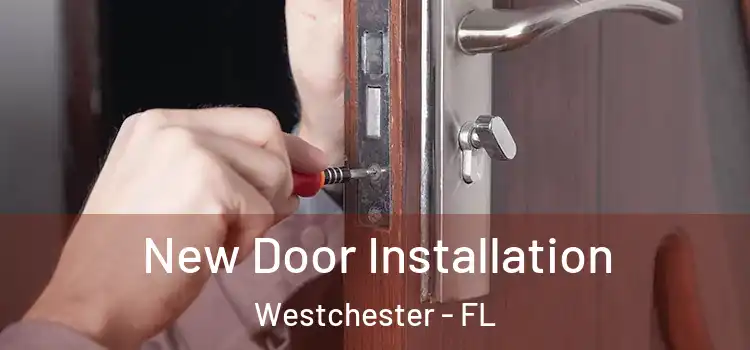 New Door Installation Westchester - FL