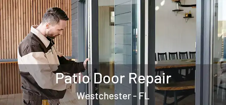 Patio Door Repair Westchester - FL