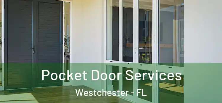 Pocket Door Services Westchester - FL