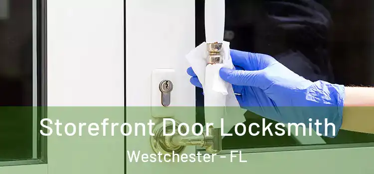 Storefront Door Locksmith Westchester - FL